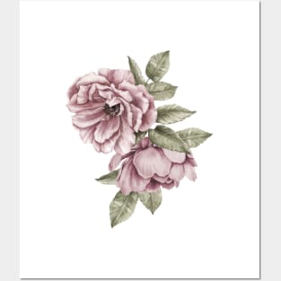 Two Dusty Pink Roses Posters and Art